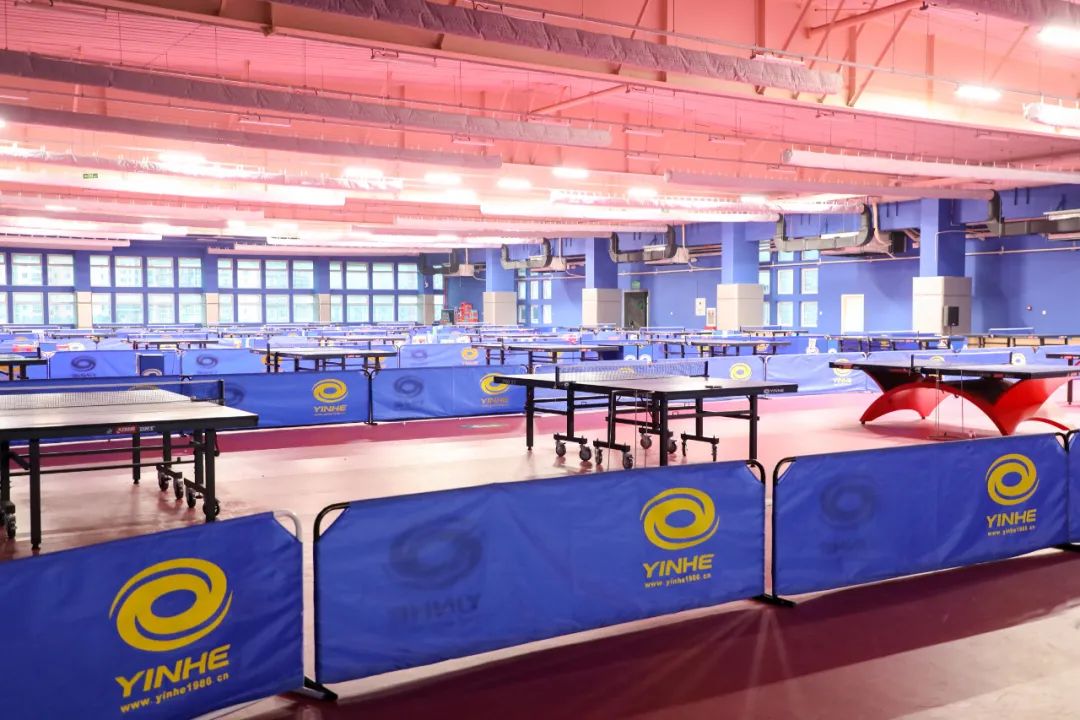 青岛体育集团与中泳股份达成战略合作共筑智慧水上赛事新生态(图1)